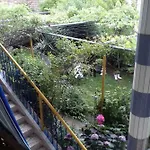 -sema