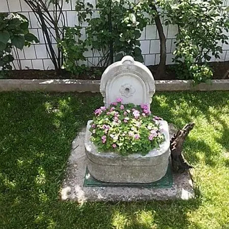 -sema 모스타르