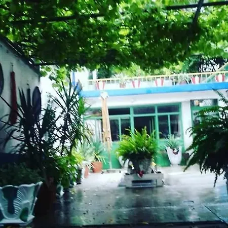 بيت شباب -sema