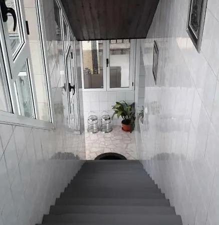 -sema 모스타르